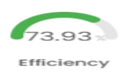 Efficiency Percentage