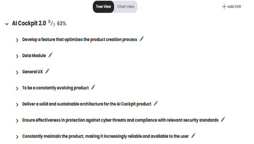Example of the OKR Page